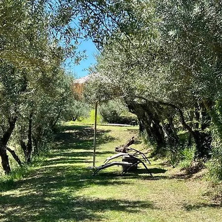 Villa Casa della Pittrice Grassina Esterno foto