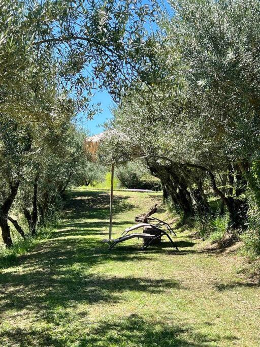 Isola Del Pittore Fienile Di Storica Grassina